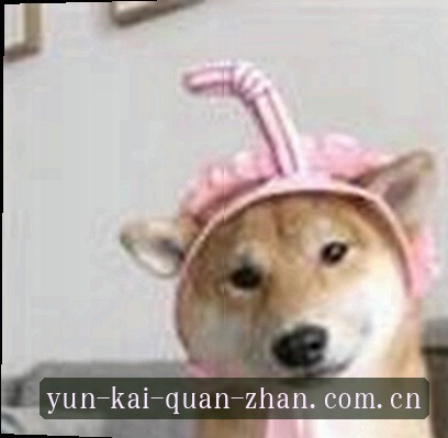 陈慧